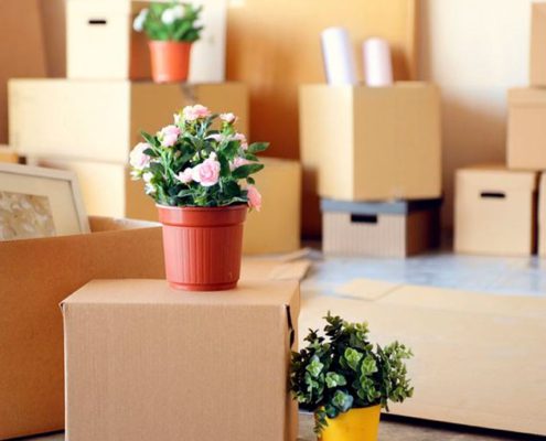 A&C Mudanzas blog cajas maceta 630x630 madrid
