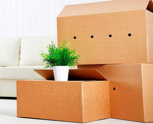 A&C Mudanzasr blog cajas libros 63x630 pozuelo